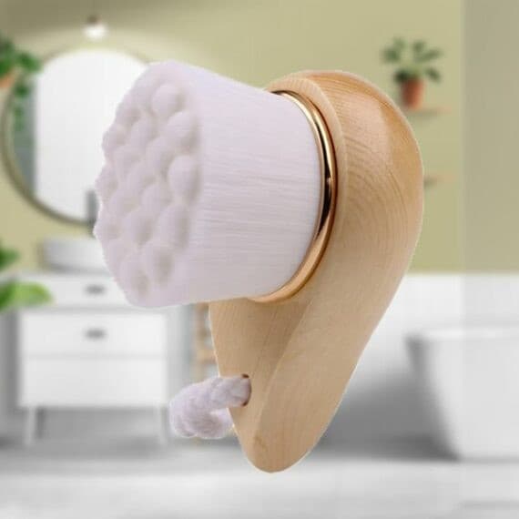 Brosse visage