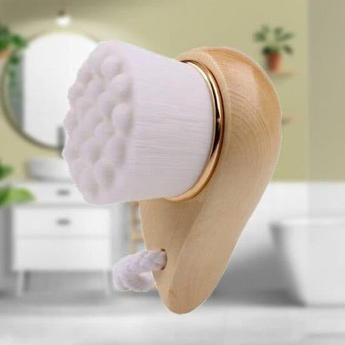 Brosse visage