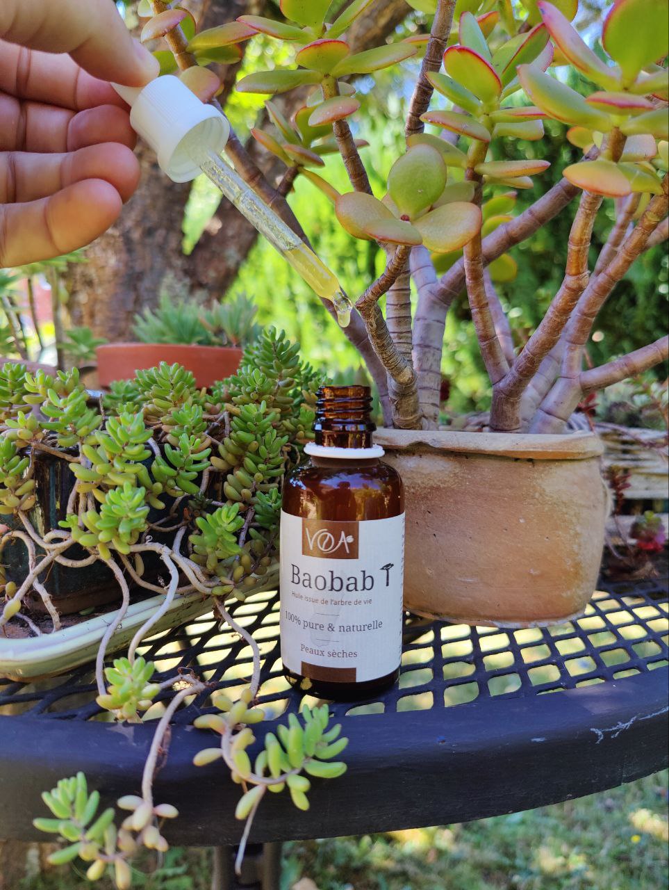 Baobab