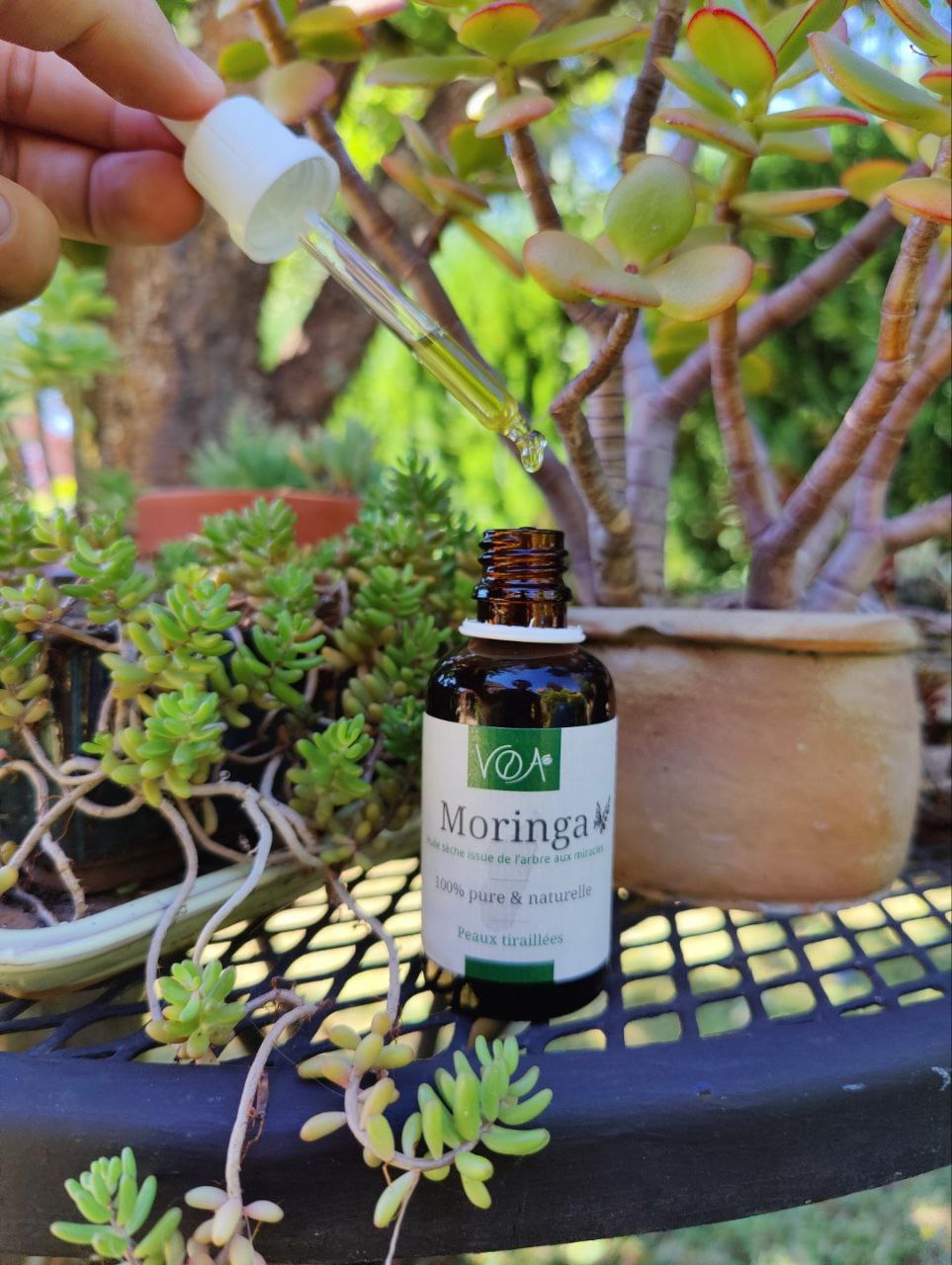 Moringa