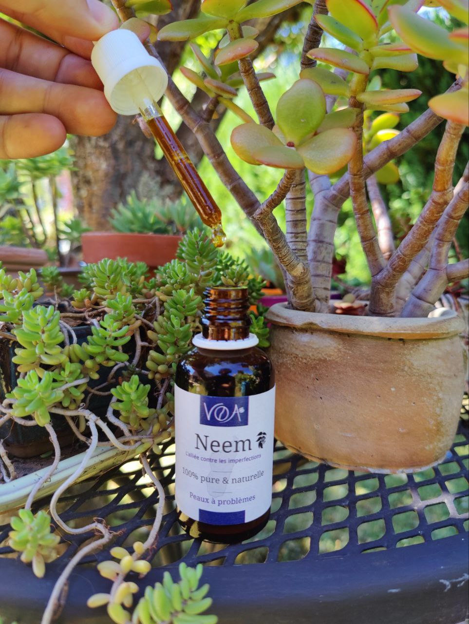 Neem